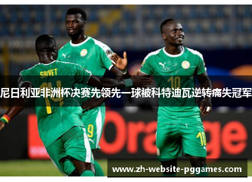 尼日利亚非洲杯决赛先领先一球被科特迪瓦逆转痛失冠军